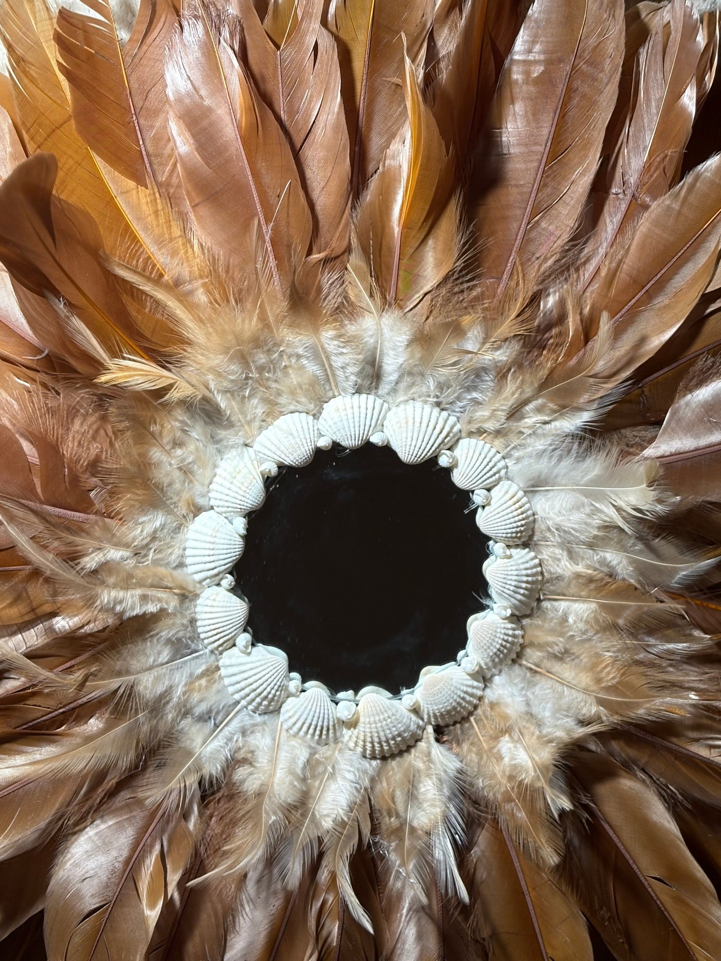 Jujuhat Coquillage - Marron clair